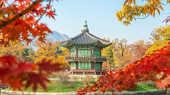 Seoul, Südkorea: Gyeongbokgung Tempel im Herbst