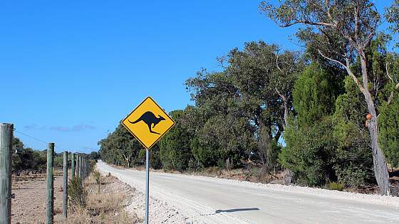 Känguru Schild in Northern Territory in Australien
