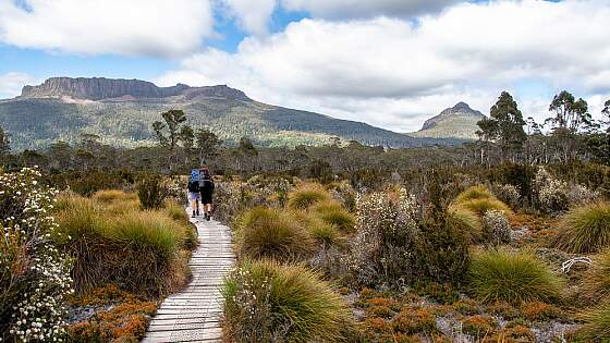 Cradle Mountain in Tasmanien, Australien