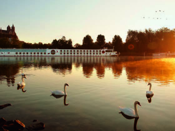 Flusskreuzfahrtschiff A-ROSA Aqua