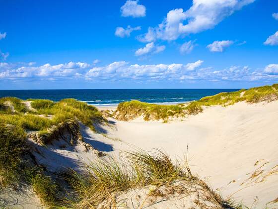 Dünen und Meer in Dänemark