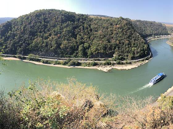 Aussicht vom Spitznack auf den Rhein