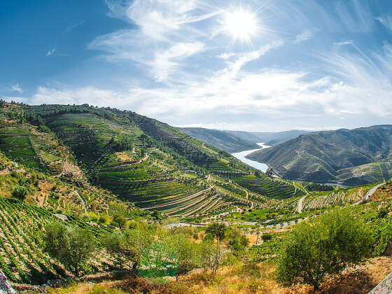 am Douro: Alta Douro Weinregion