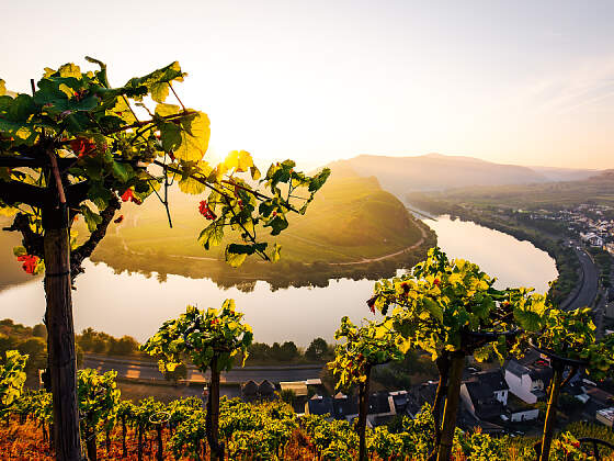 Moselkreuzfahrt mit A-ROSA: Flusstal der Mosel