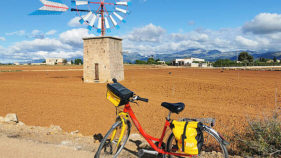 Radreise Mallorca, Spanien: Muro Windmühle