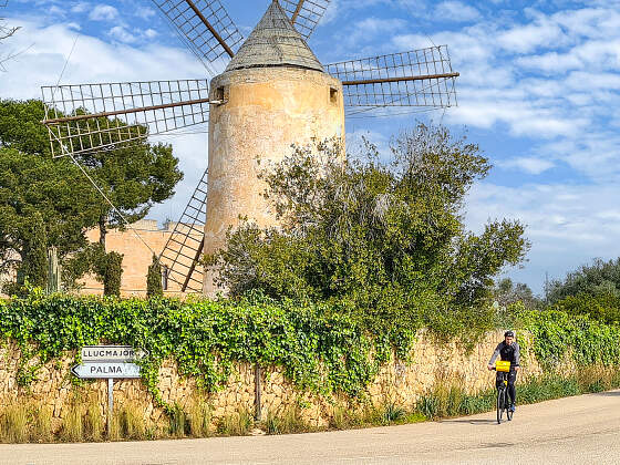 Radreise Mallorca, Spanien: Radfahrer mit Windmühle