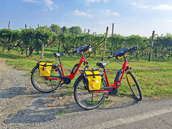 Italien Radreisen: Piemont - Fahrräder in den Obstplantagen