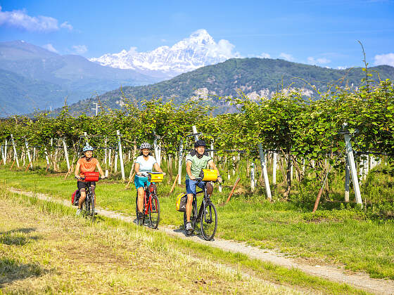 Italien Radreisen: Piemont - Obstgarten