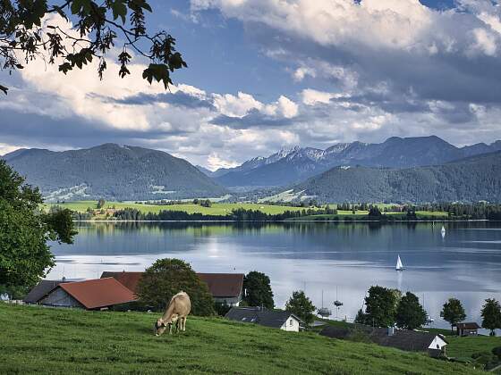 Forggensee im Allgäu, Bayern