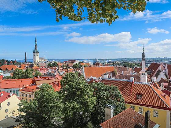 Altstadt von Tallinn, Estland