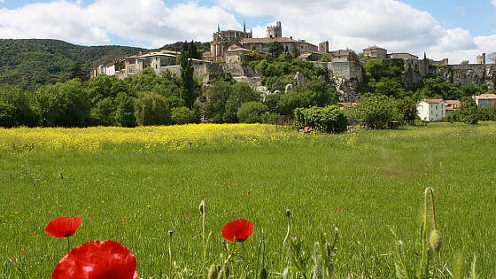 Rhône: Blick auf Viviers vom Hafen