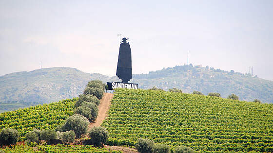 Nordportugal: Douro Weinberge