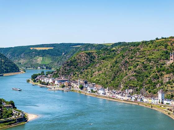 Rheinkreuzfahrt: Rhein Panorama
