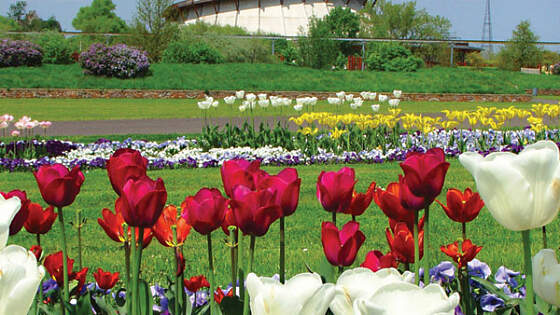 Mageburg: Jahrtausendturm im Elbauenpark