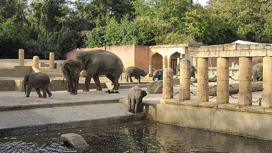 Erlebniszoo Hannover