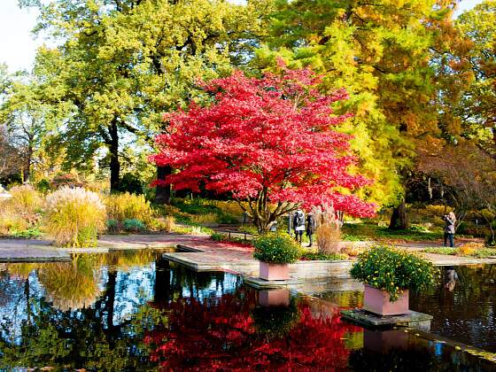Hamburg: Planten un Blomen