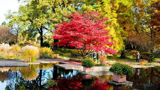 Hamburg: Planten un Blomen