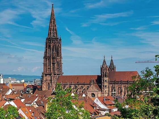 Blick auf das Freiburger Münster