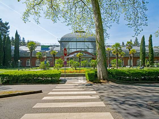 Palmengarten in Frankfurt