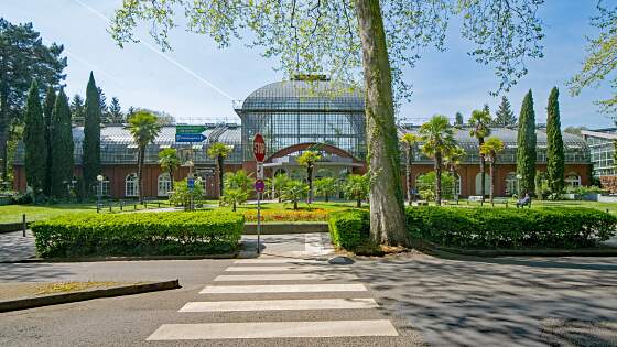 Palmengarten in Frankfurt