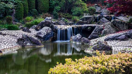 Rheinaue in Bonn - Japanischer Garten