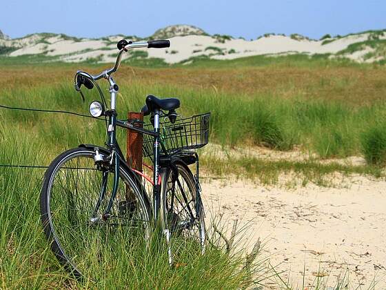 Norderney, Nordsee: Rad in den Dünen