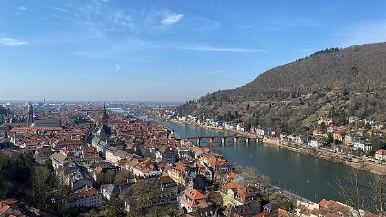 Blick auf Heidelberg am Neckar