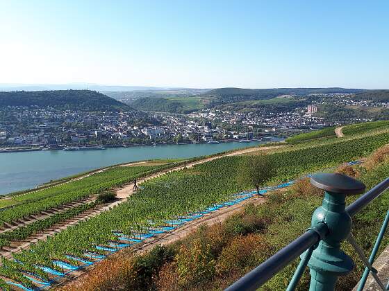 Rüdesheim: Blick auf den Rhein vom Niederwalddenkmal