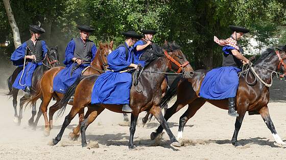 Pferdehirten in der Puszta, Ungarn