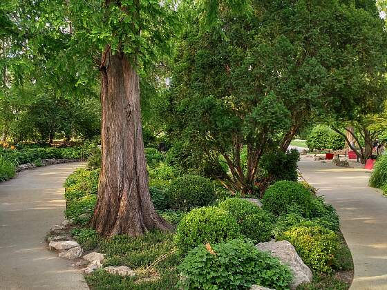 Margaretheninsel in Budapest / Ungarn