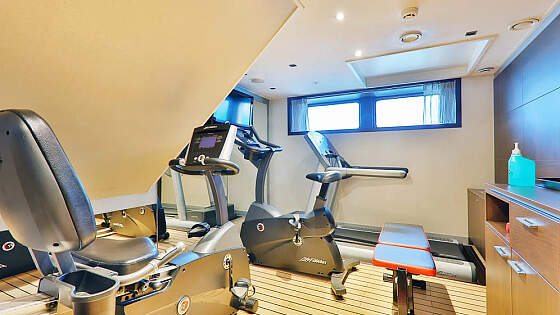 MS VistaNeo: Fitness