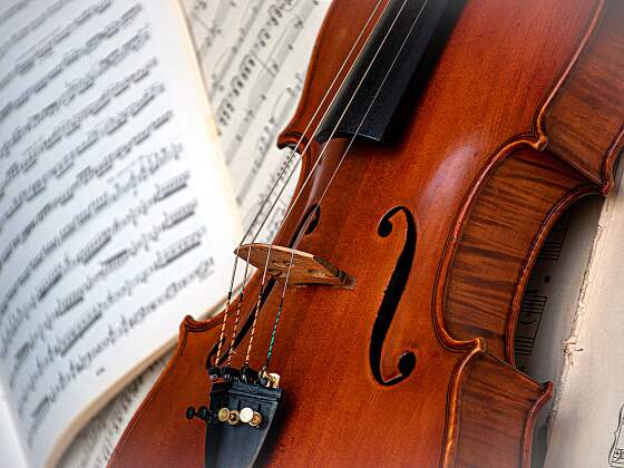 Violine - klassische Musik