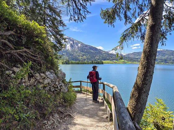 Salzkammergut Wanderreisen: Wolfgangsee Ausblick