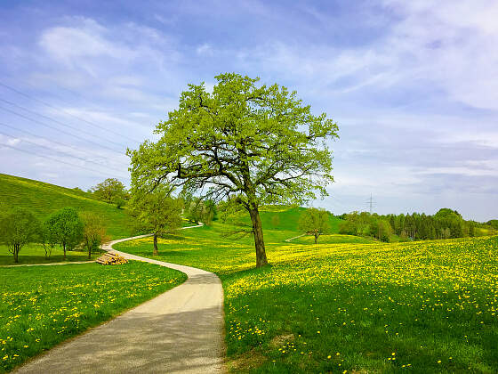 Radreisen in Bayern: Bayerische Idylle