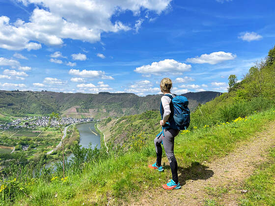 Wanderreise Moselsteig: Talblick mit Wanderer