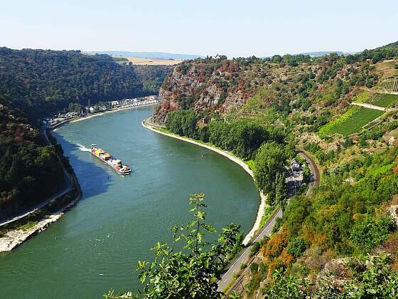Wanderreise Rheinsteig: Aussicht Loreley - Rheinblick