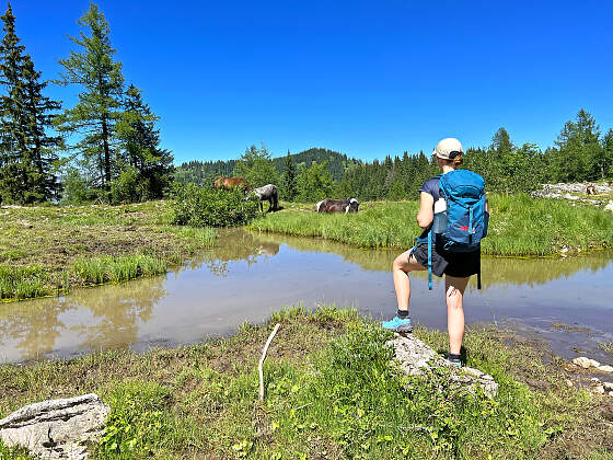 Wanderreisen Almwandern Salzkammergut: Postalm