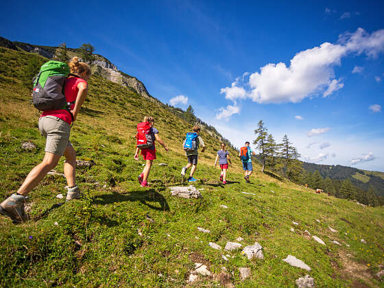 Wanderreisen Almwandern Salzkammergut: Genneralm Wanderpfad