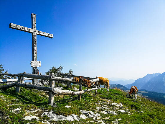 Wanderreisen Almwandern Salzkammergut: Gipfelkreuz