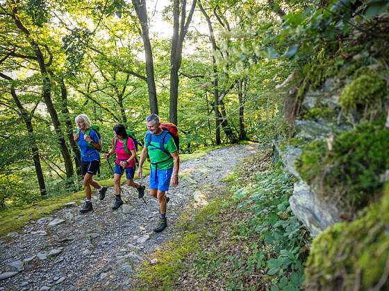 Wanderreise Spessart Wanderweg
