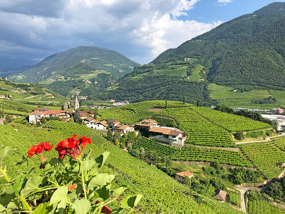 Wanderreise Südtirol: Bozen Panorama