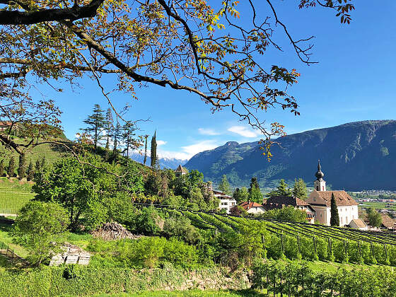 Wanderreise Südtirol: Ausblick Kalten