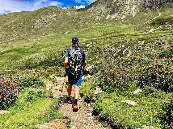 Wanderreise Südtirol: Almenweg Wanderer