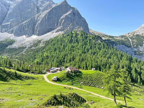 Wanderreise Tirolerweg: Karwendelgebirge Almlandschaft