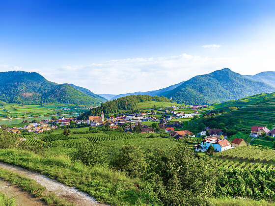 Wanderreise Welterbesteig Wachau: Weißenkirchen
