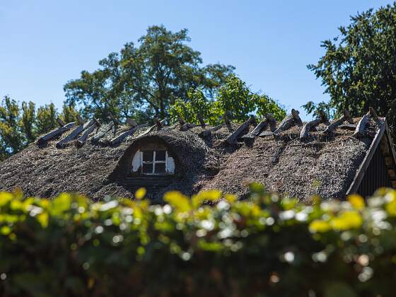 Haus an der Ostseeküste in Dänemark