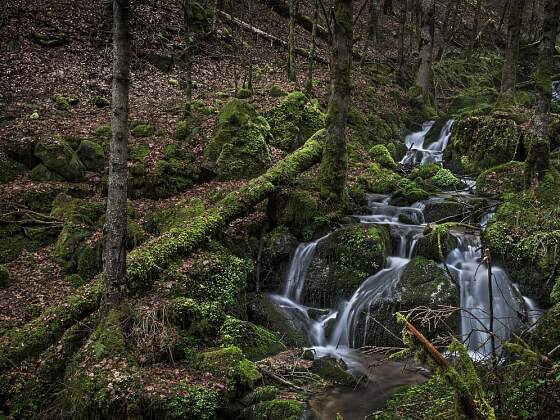 Wehraschlucht im Schwarzwald