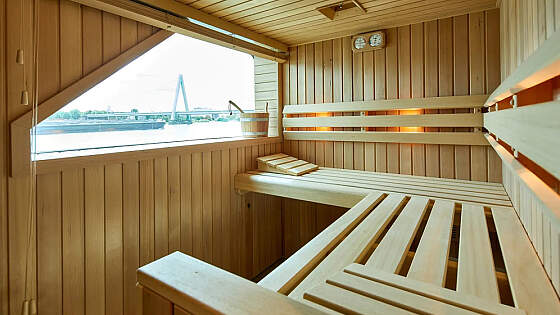 MS VistaSky: Sauna