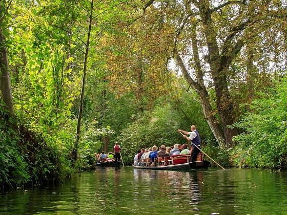 Kahnfahrt im Spreewald
