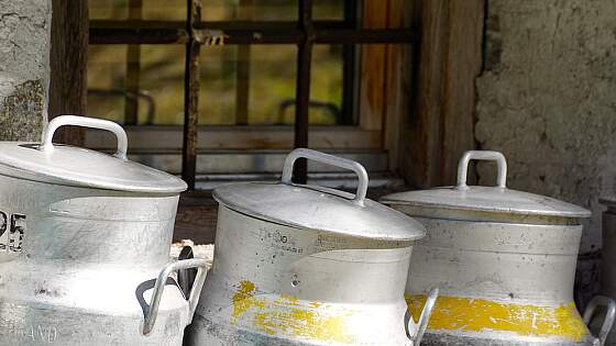 Milchkannen in der Schweiz